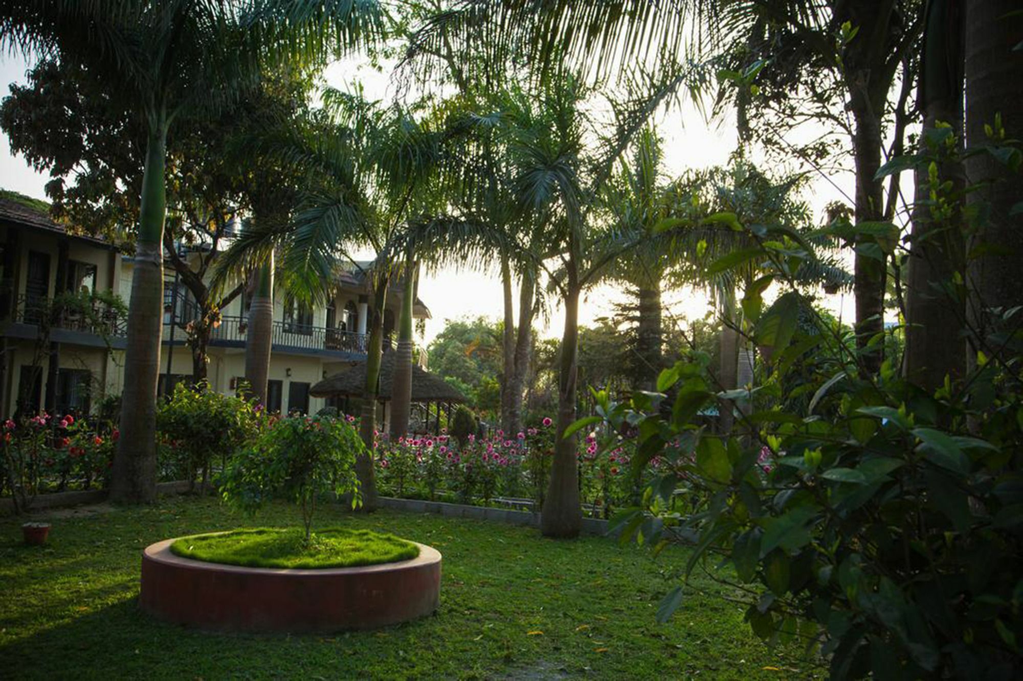 Chitwan Adventure Resort Sauraha Esterno foto