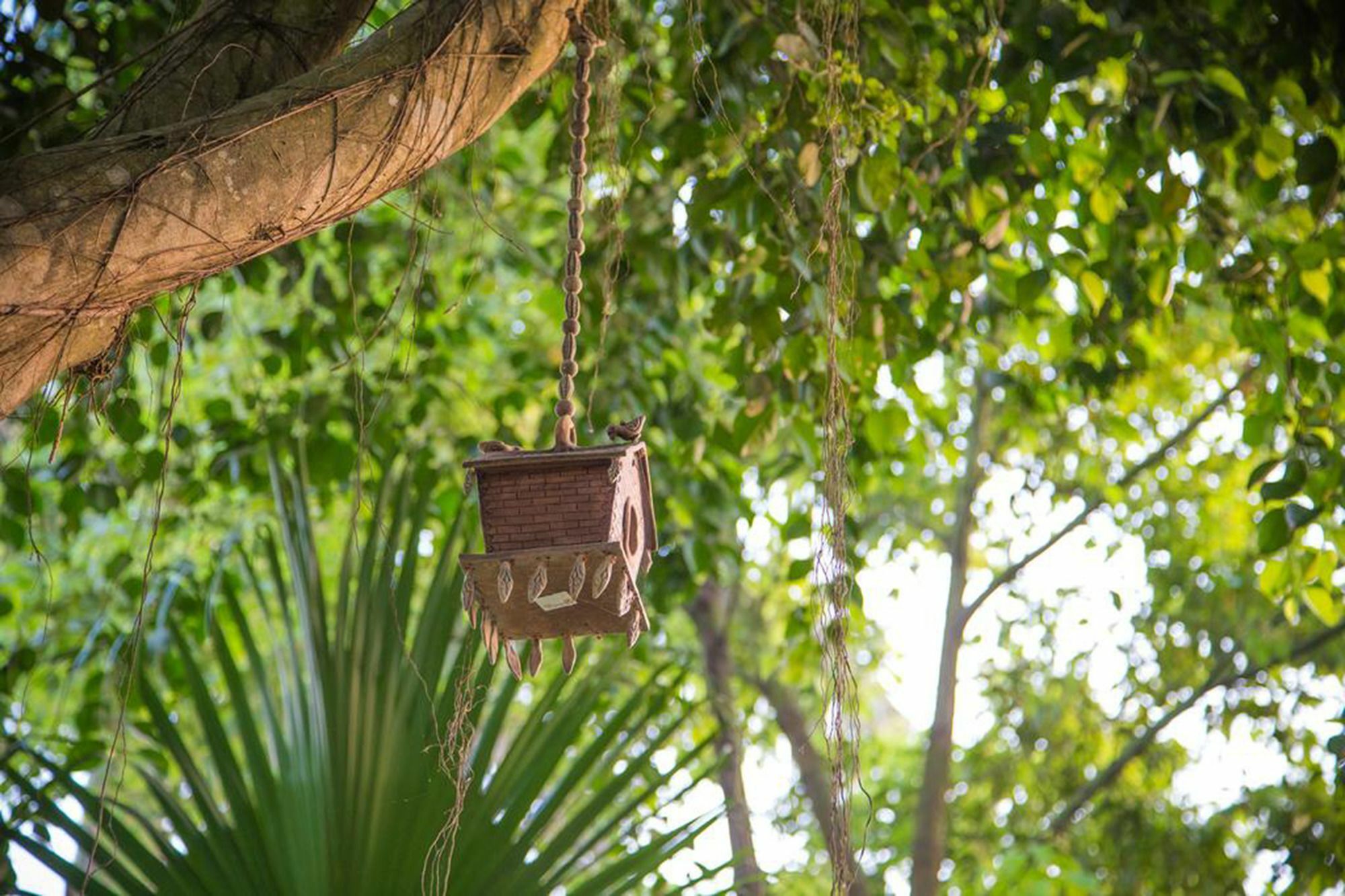 Chitwan Adventure Resort Sauraha Esterno foto